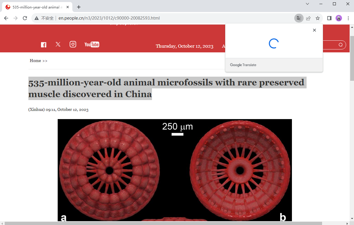 Chrome浏览器极速版截图3