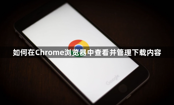 如何在Chrome浏览器中查看并管理下载内容1