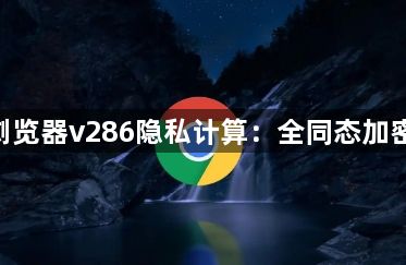 Google浏览器v286隐私计算:全同态加密试验支持1