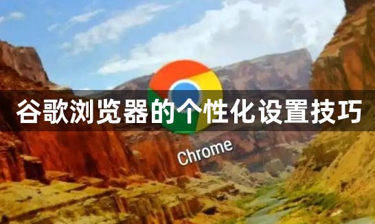 谷歌浏览器的个性化设置技巧1