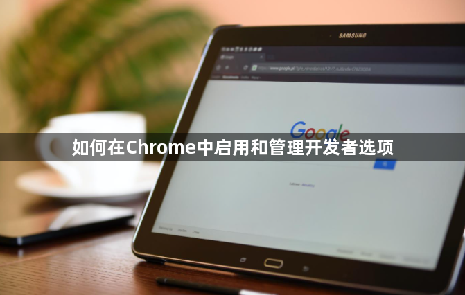 如何在Chrome中启用和管理开发者选项1