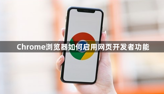 Chrome浏览器如何启用网页开发者功能1