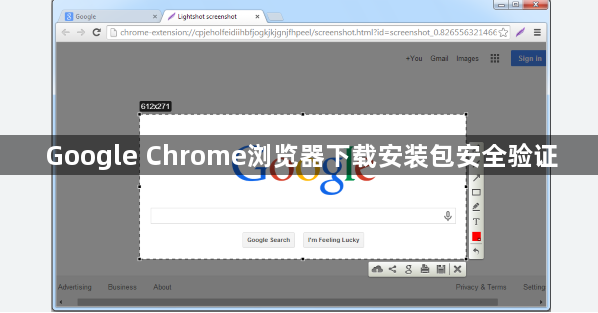 Google Chrome浏览器下载安装包安全验证1