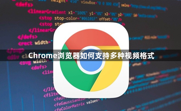 Chrome浏览器如何支持多种视频格式1