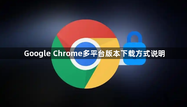 Google Chrome多平台版本下载方式说明1