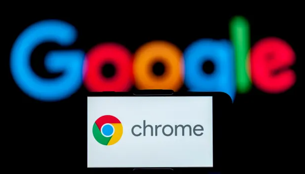 Google Chrome下载速度慢的DNS替换方法
