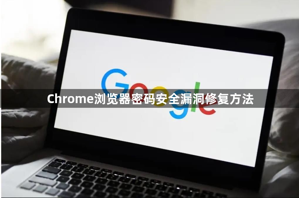 Chrome浏览器密码安全漏洞修复方法1