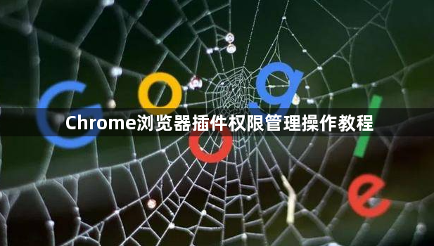 Chrome浏览器插件权限管理操作教程1