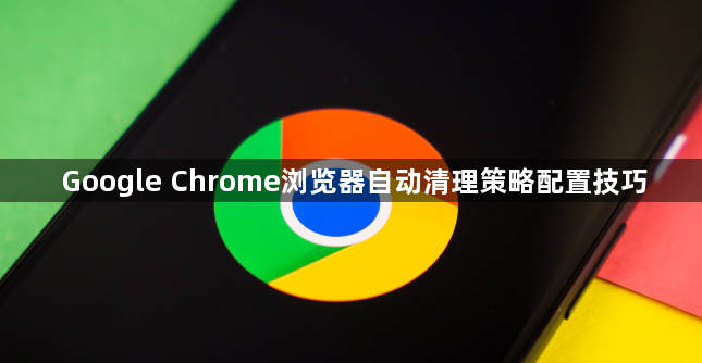 Google Chrome浏览器自动清理策略配置技巧1