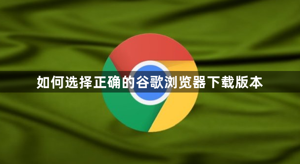 如何选择正确的谷歌浏览器下载版本1
