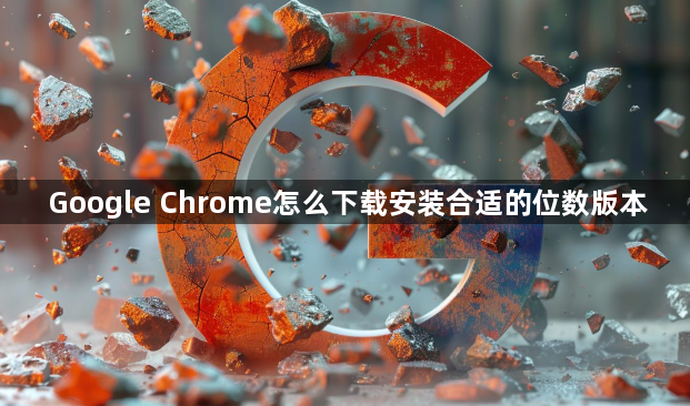 Google Chrome怎么下载安装合适的位数版本1