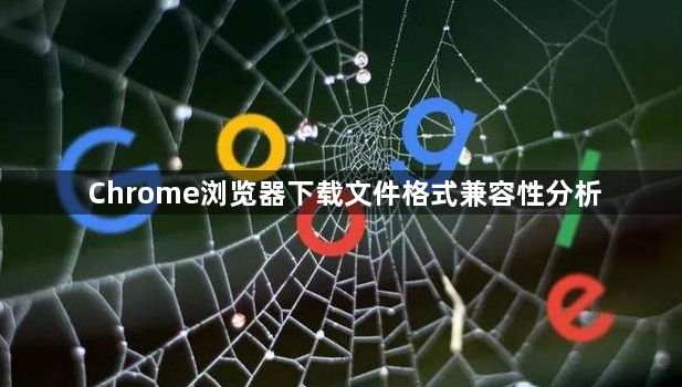 Chrome浏览器下载文件格式兼容性分析1