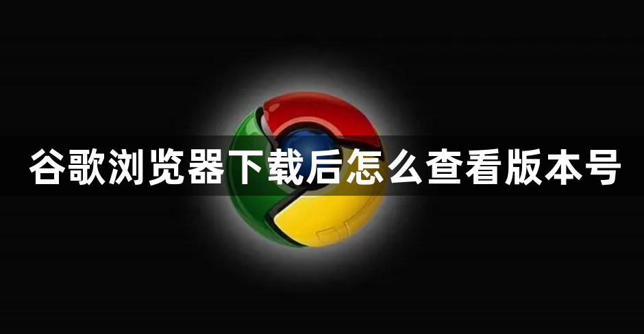 谷歌浏览器下载后怎么查看版本号1