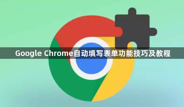 Google Chrome自动填写表单功能技巧及教程1