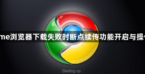 Chrome浏览器下载失败时断点续传功能开启与操作方法1