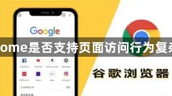 google Chrome是否支持页面访问行为复杂度预测工具1