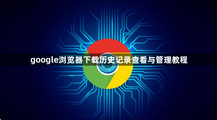 google浏览器下载历史记录查看与管理教程1