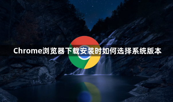 Chrome浏览器下载安装时如何选择系统版本1