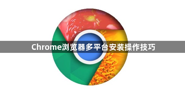 Chrome浏览器多平台安装操作技巧1