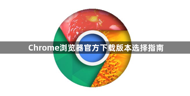 Chrome浏览器官方下载版本选择指南1