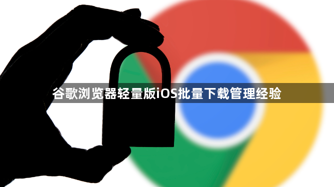 谷歌浏览器轻量版iOS批量下载管理经验1